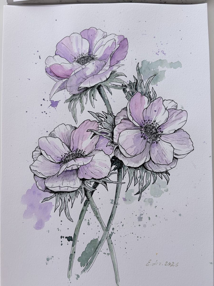 Gemälde: Gemälde Anemonen Aquarell 2026 – Neu (gemäss Beschreibung) aus Meggen von My_art_for_you 2