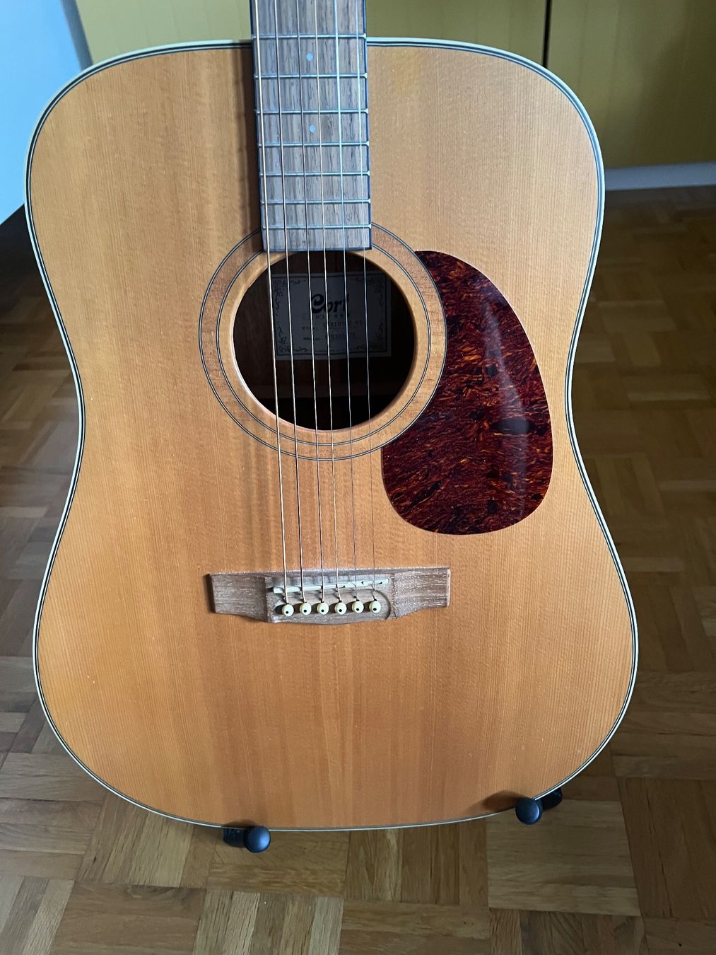 Cort Musikinstrumente: Westergitarre Cort Earth 100, ein Wirbel defekt – Defekt aus Basel von Lommelun 1