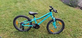 Kindervelo Specialized 20" Neuwertig