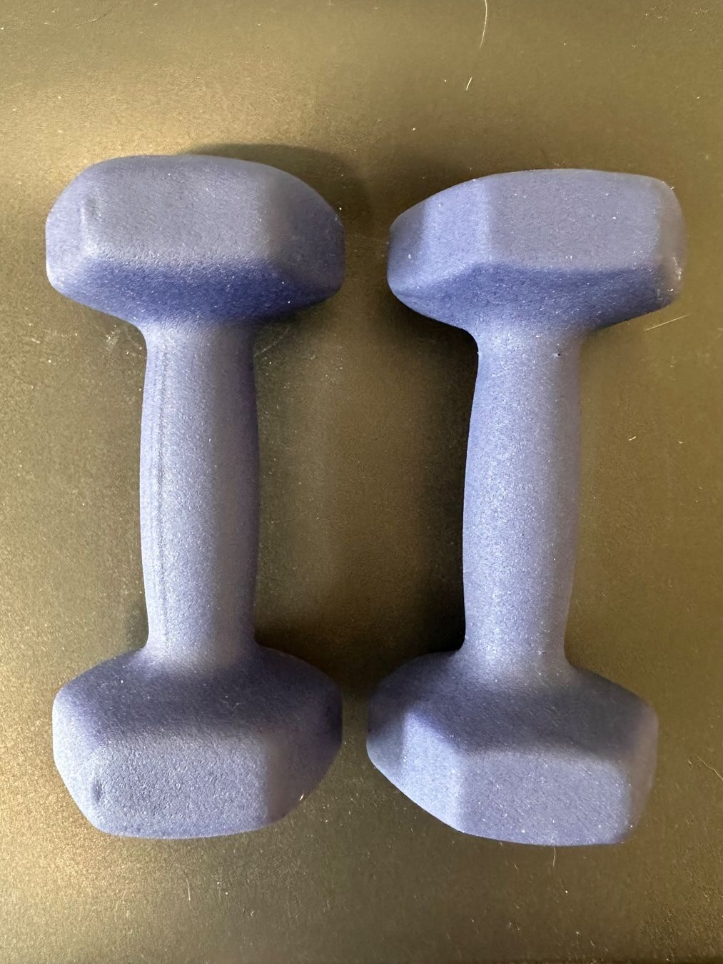 Manubri & Pesi: Verstellbare Hanteln (Set) – Usato da Frick venduto da itt_rf2m 1