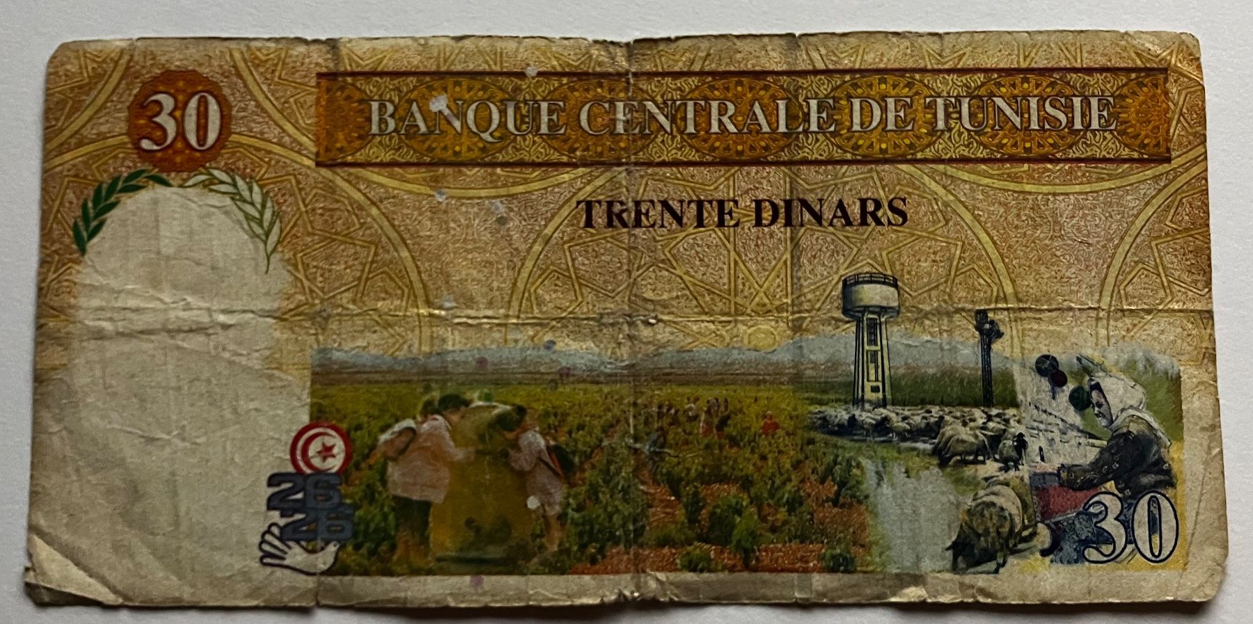 Banconote: Tunesien 30 Dinars 1997 – Usato da Algetshausen venduto da Carrhard 1