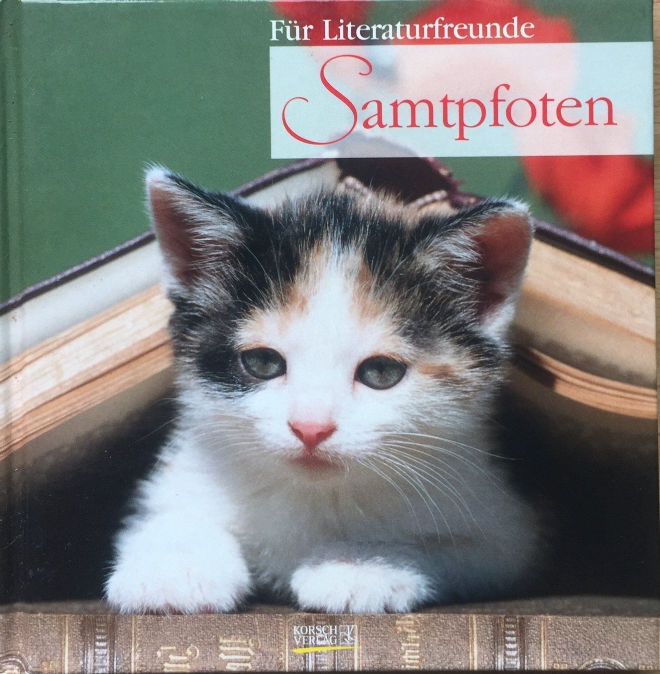 Libri: Buch - Samtpfoten – Usato da Leimbach TG venduto da manu-tg