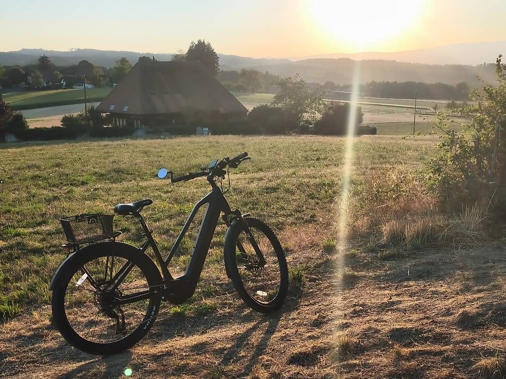 Momabikes Biciclette: eBike Momas Nova Pro+ SUV – Usato da Münchenbuchsee venduto da der-Franz 1