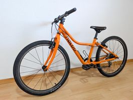 Naloo Chameleon 24" 🔥 Frisch Service 🔥 Top Zustand! 🚚