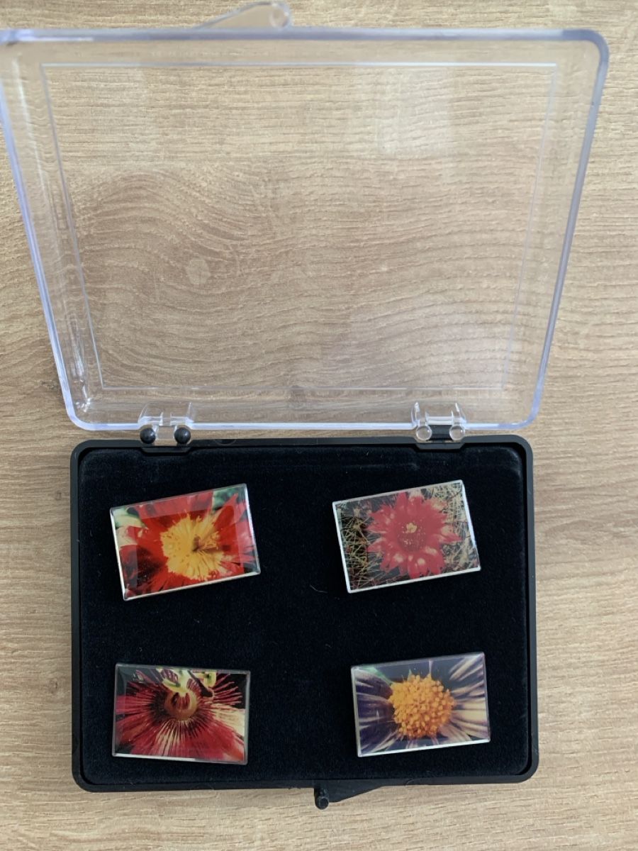 Placchette & Badge: Blumen-Pin-Set, 4 Stück – Usato da Wilen b. Wil venduto da Huibuh 1