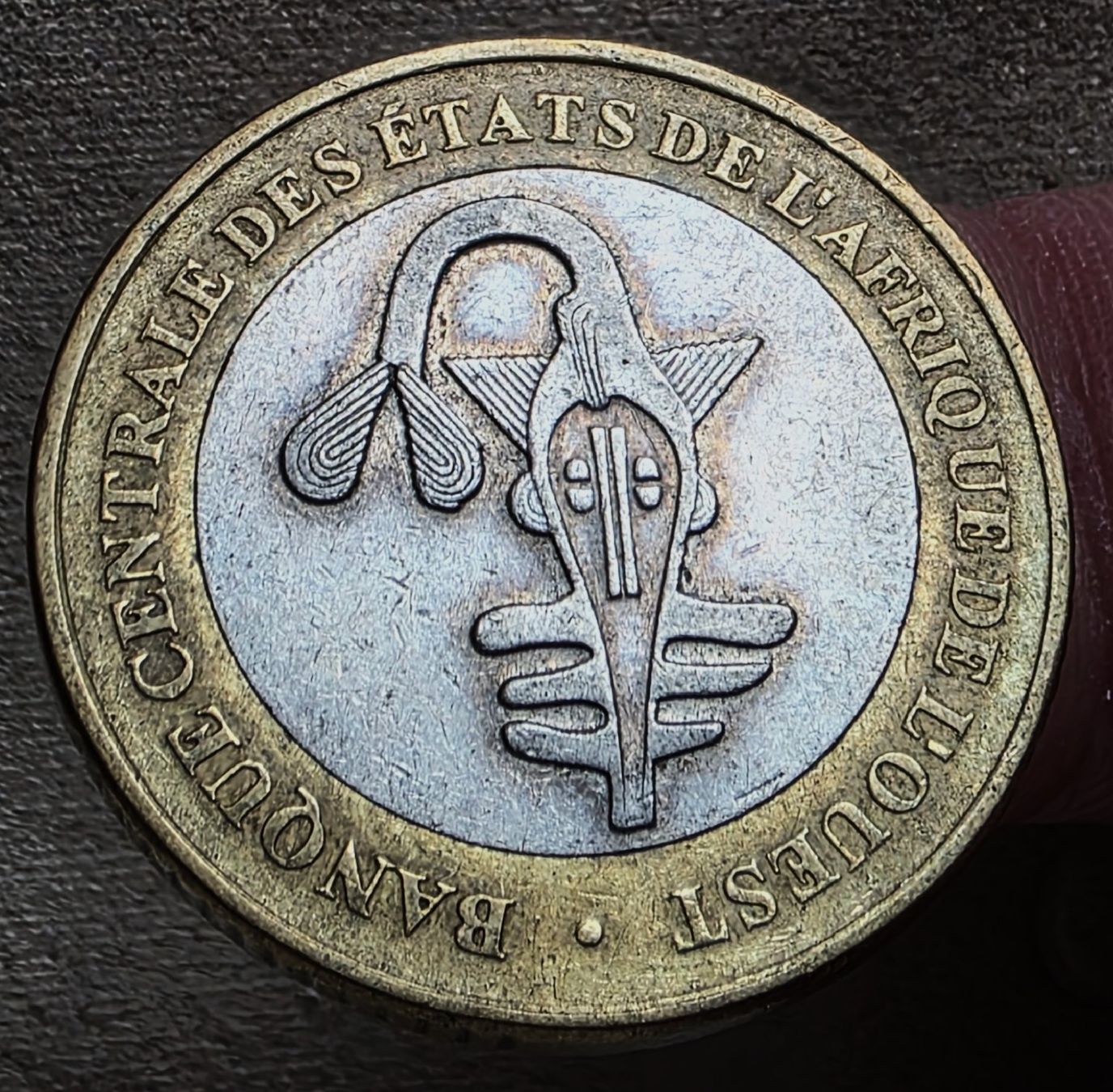 Tutti le monete: WESTAFRIKANISCHE STATEEN 500 FRANCS 2005 – Usato da winterthur venduto da CoinPassion 1