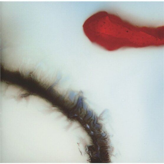 CD: Stubborn Heart --- (CD) – Usato da Uzwil venduto da visions77