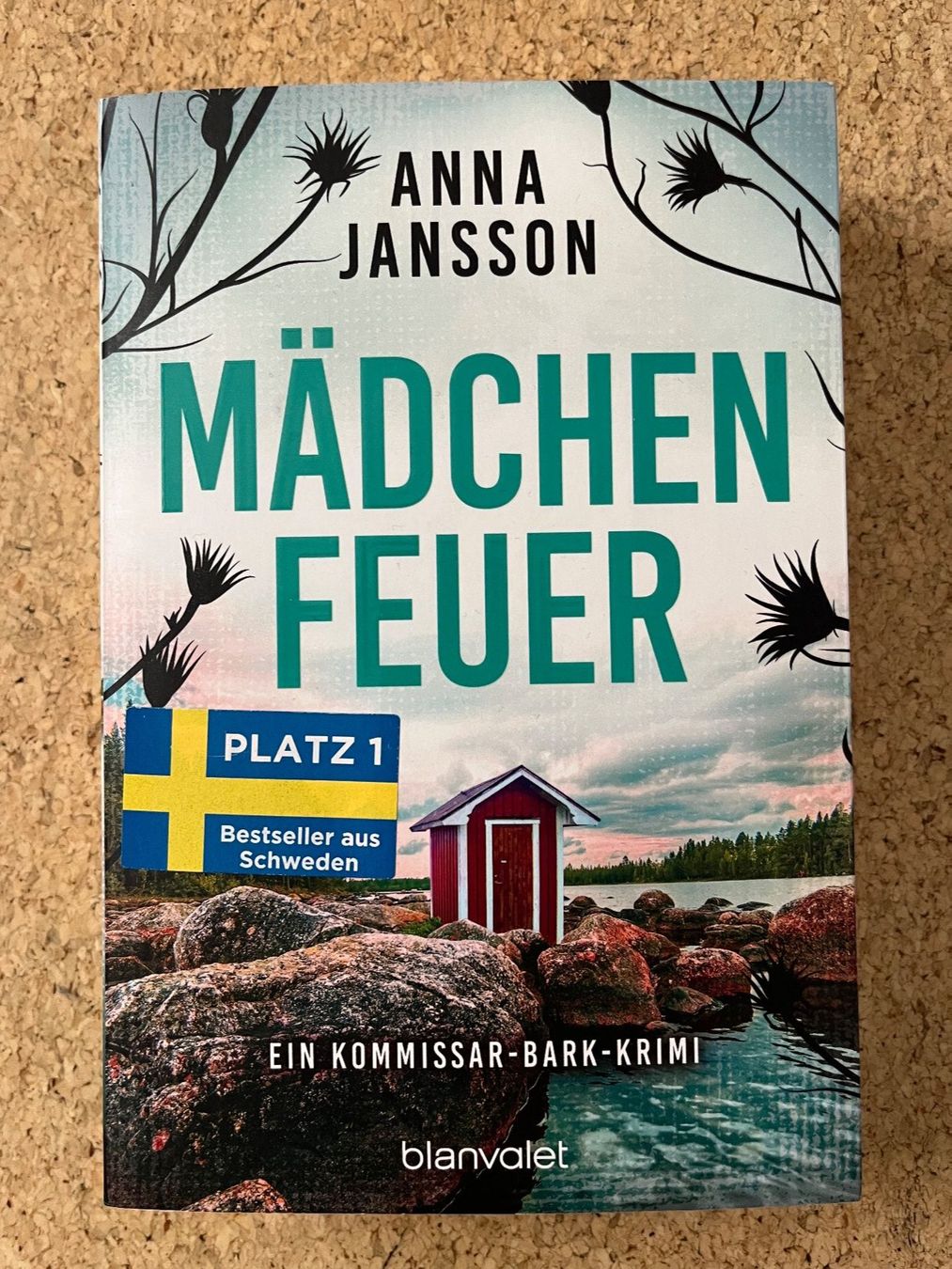 Libri: Taschenbuch "Mädchenfeuer", Anna Jansson – Usato da Grosswangen venduto da Vita500