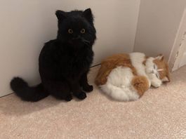 Realistische Katzen Plüschtiere
