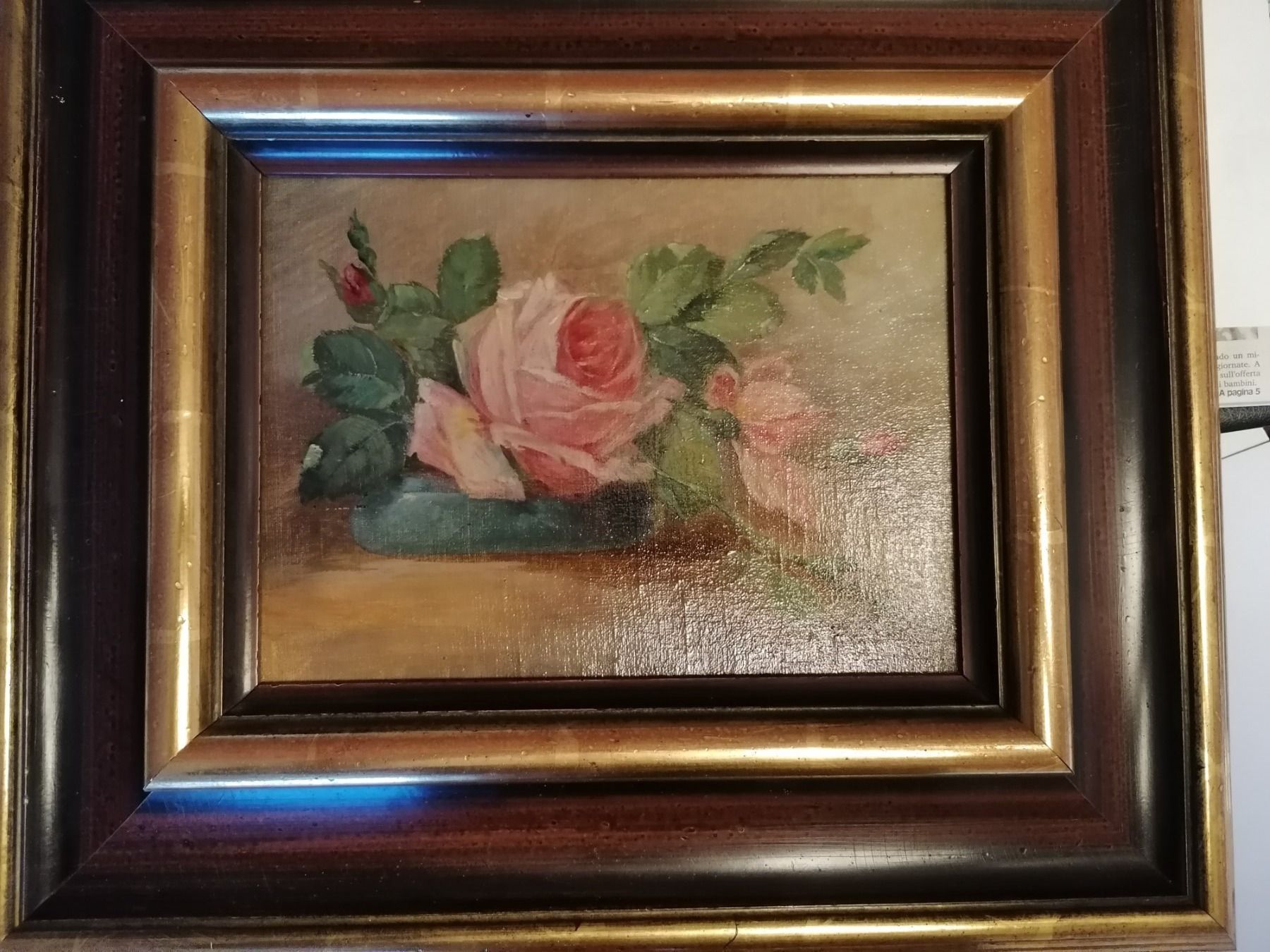 Dipinti: Rose antiche – Usato da Mendrisio venduto da Accamuta
