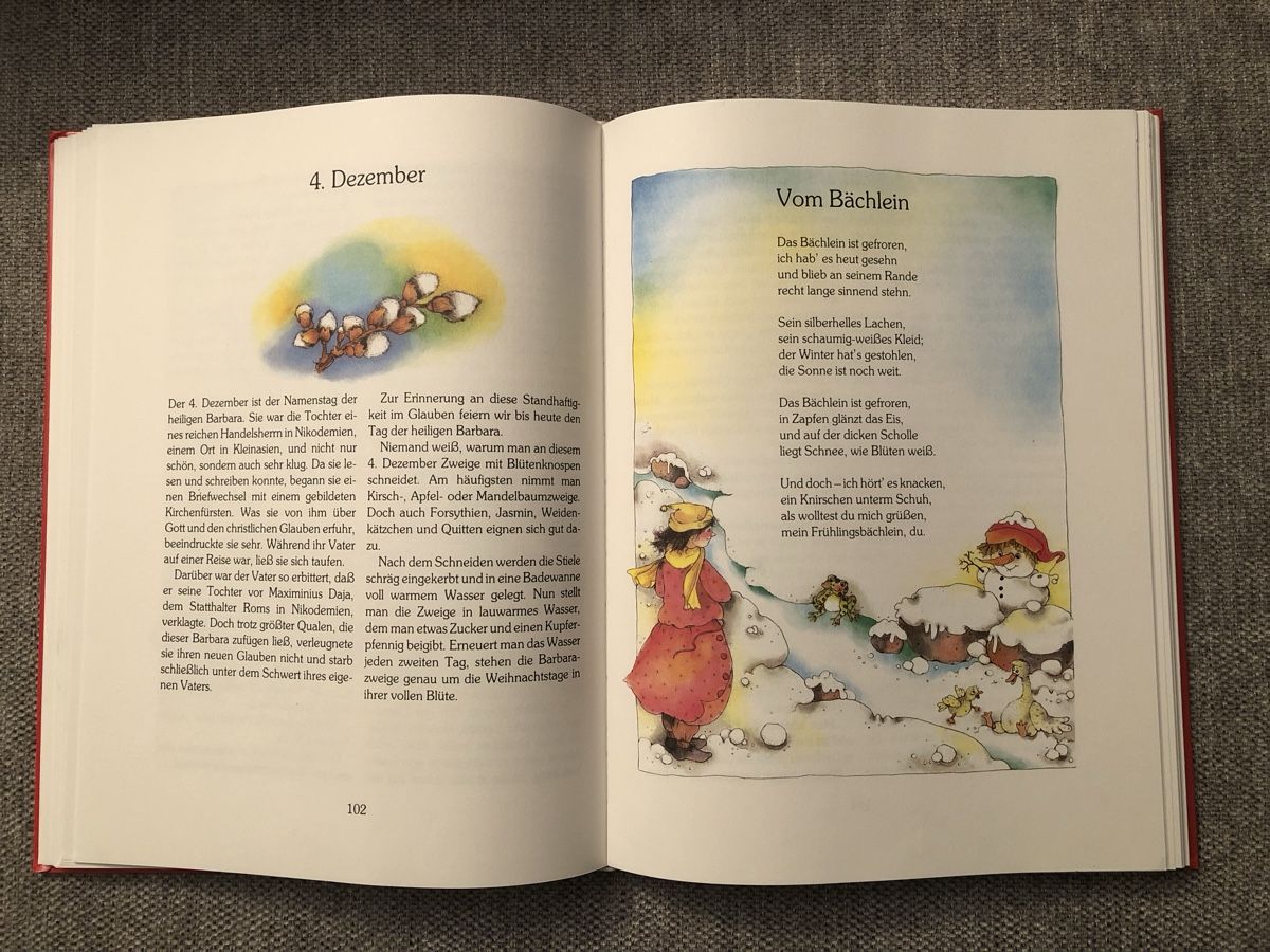 Libri: DAS GROSSE BUNTE WEIHNACHTSBUCH – Usato da Zollikofen venduto da DelNero 3