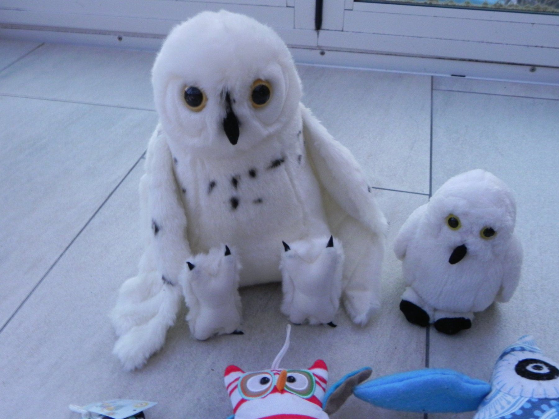 Spielzeuge: Eulen Set Stofftiere Kuscheltiere 5 Stk – Gebraucht aus Stallikon von pcerny16 7