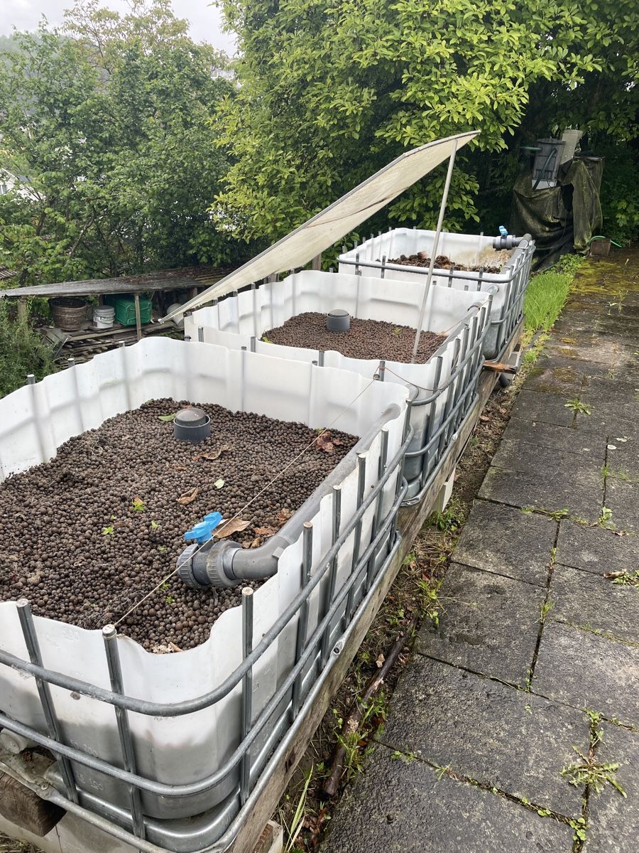 Altro: Aquaponic Anlage – Usato da Möriken AG venduto da Sammler06 7