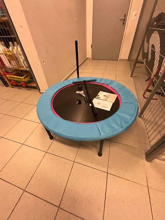 Trampolini: Fitness- Trampolin – Usato da Ibach venduto da Enko26 2