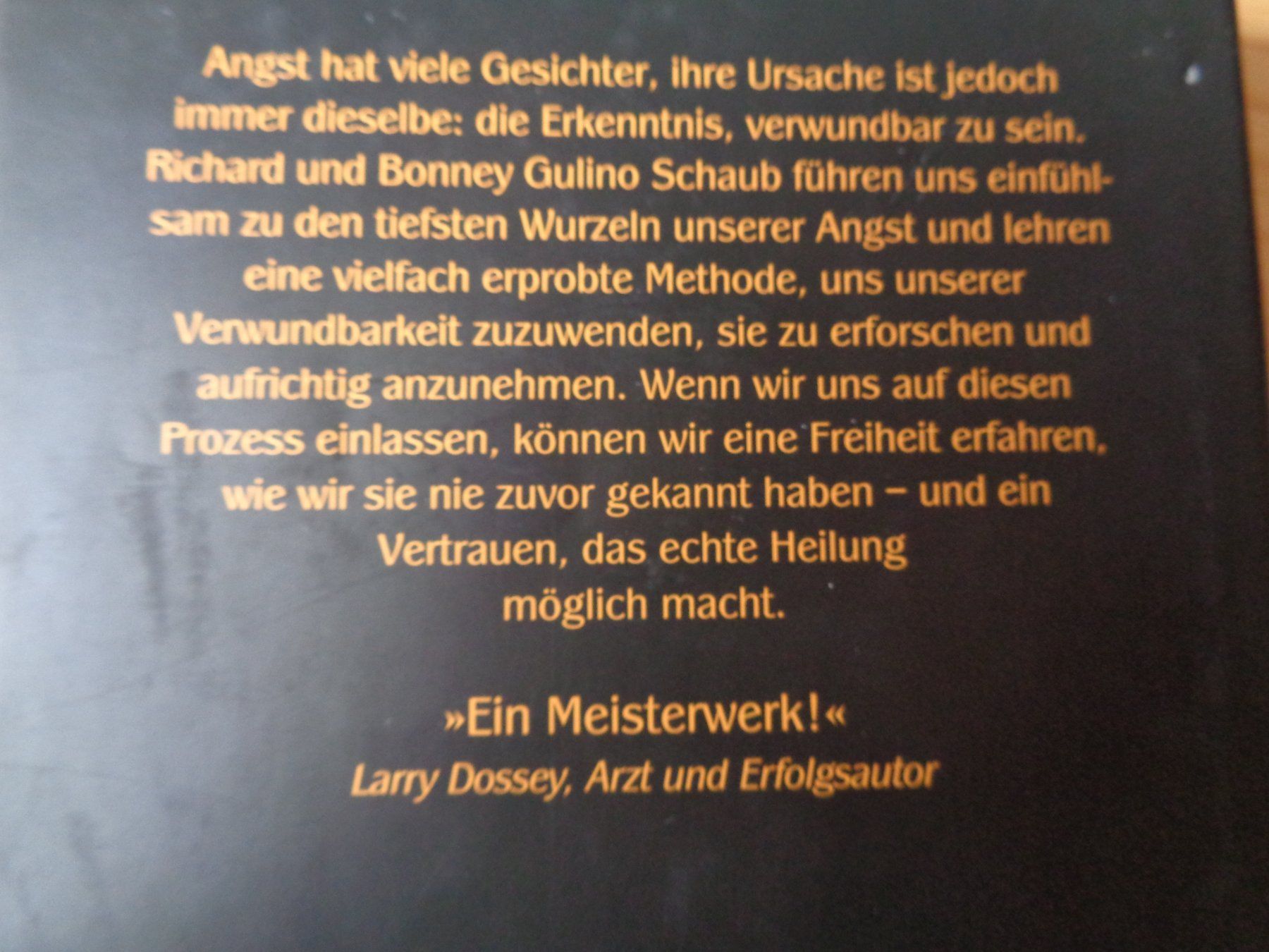 Libri: Das Ende der Angst. Richard Schaub – Usato da Wiesendangen venduto da Gullfoss 1