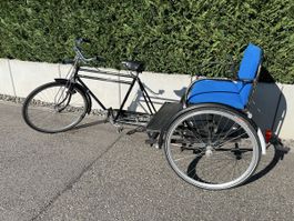 Rikscha Phoenix mit Verdeck zum abnehmen 
