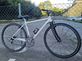 STEVENS Herren Trekking-/Crossbike