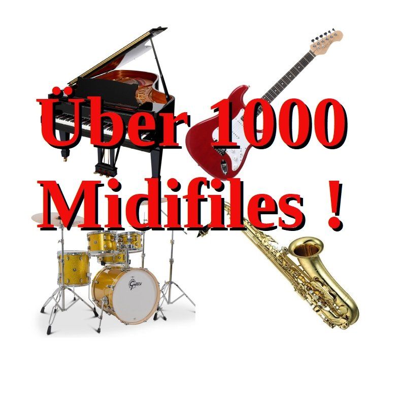 Strumenti musicali: 1000 Midifiles auf USB Stick !! – Nuovo (secondo la descrizione) da Moosseedorf venduto da Feinbein