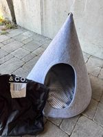 Hunde oder Katzentipi