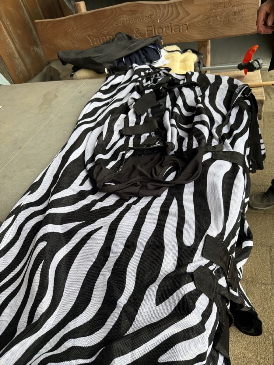 Couvertures: Pferdedecke Thermo Master Zebra Grösse 155cm – Neuf (Voir description) à Zofingen par roki_ch 1