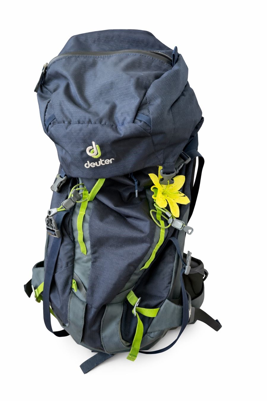 Deuter Zaini: Deuter Rucksack 30L Damen – Usato da Lauwil venduto da nina-lara