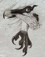 Wilhelm Hartmann, St. Gallen - ADLER, Grafik / Tusche ? 1820