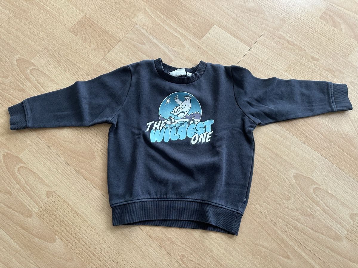 Pullover & Sweatshirts: Kinder Pullover  – Gebraucht aus Düdingen von Laeri96