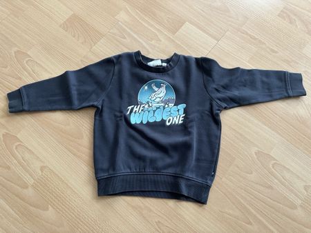Kinder Pullover 