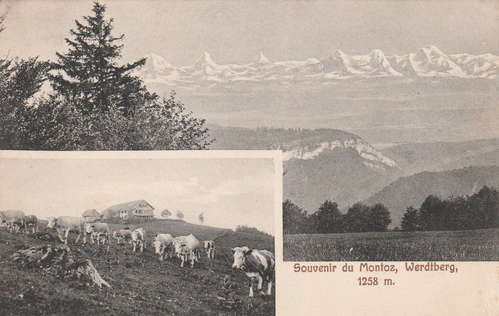 Cartoline postali: Montoz - Werdtberg – Usato da Rorschacherberg venduto da fratovi2