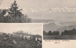 Montoz - Werdtberg