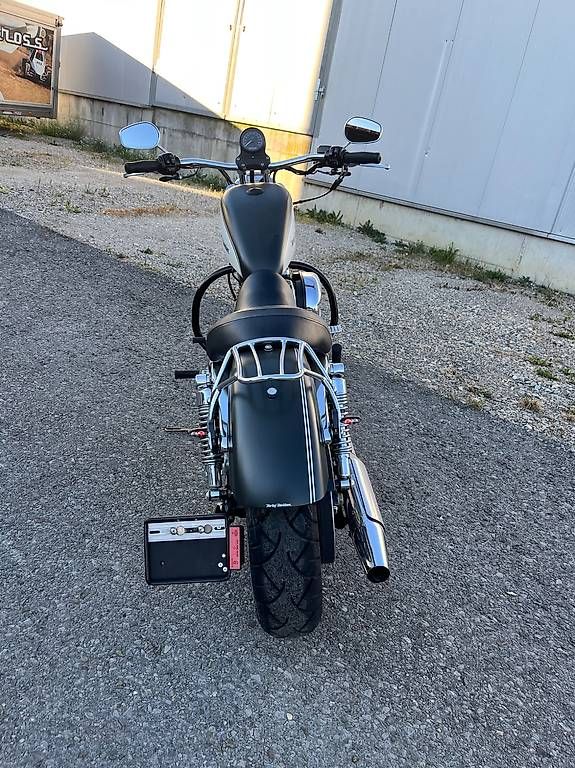 Chopper: Harley Sportster 883Low, Custom – Usato da Rufi venduto da Fabian900 2
