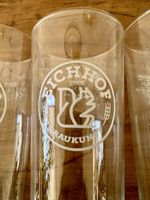 Eichhof Biergläser 3dl - 6 Stück