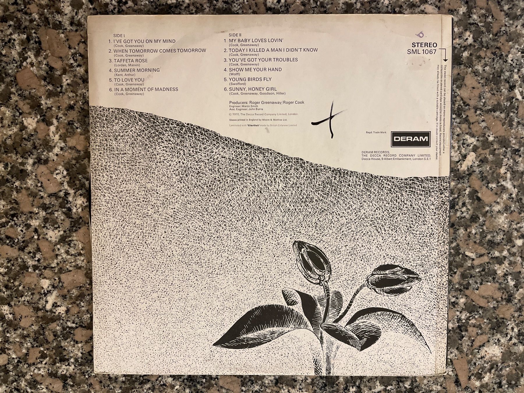 Dischi in vinile: S2/White Plains – Usato da Frutigen venduto da Philippe_jsp 1