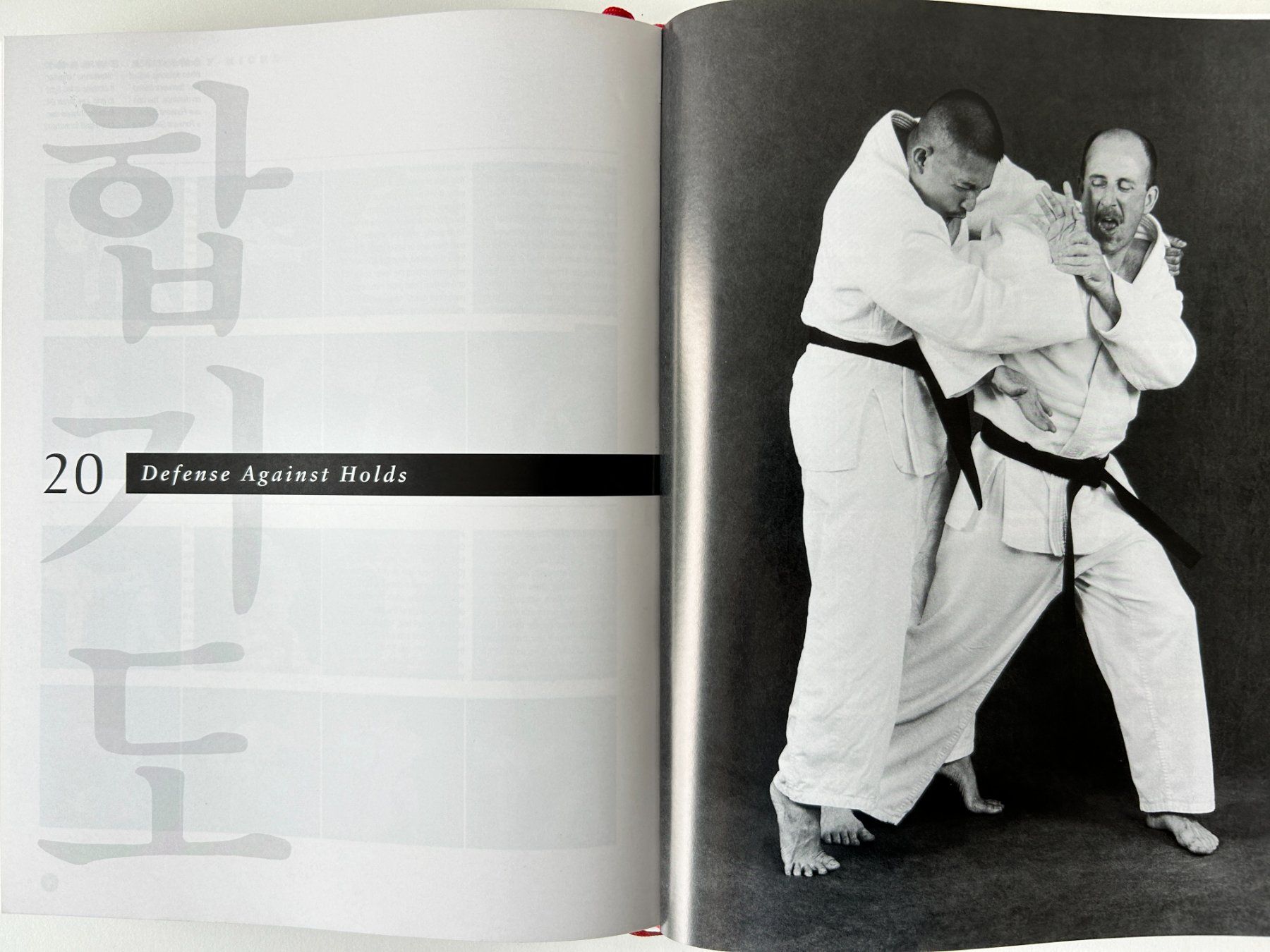 Libri: HAPKIDO (koreanische Selbstverteidigung) – Nuovo (secondo la descrizione) da Bern venduto da arwori 1