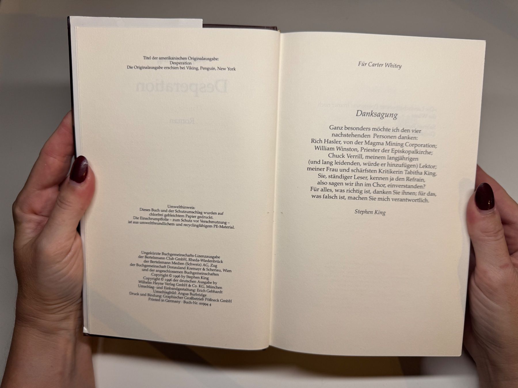 Libri: ROMAN: Stephen King, Desperation – Usato da Grosswangen venduto da Deutsche_Romane 3