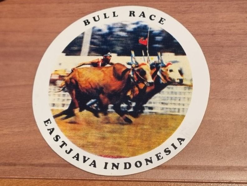 Sticker BULL RACE | Kaufen auf Ricardo