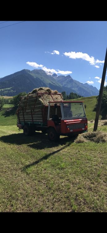 Lindner Transporter T 3500 SA (Gebraucht) in Degen für CHF 10000 – nur ...