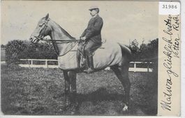 Pferd mit Reiter 1903