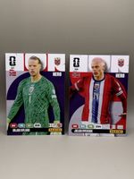 Panini Adrenalyn XL - 337 & 338