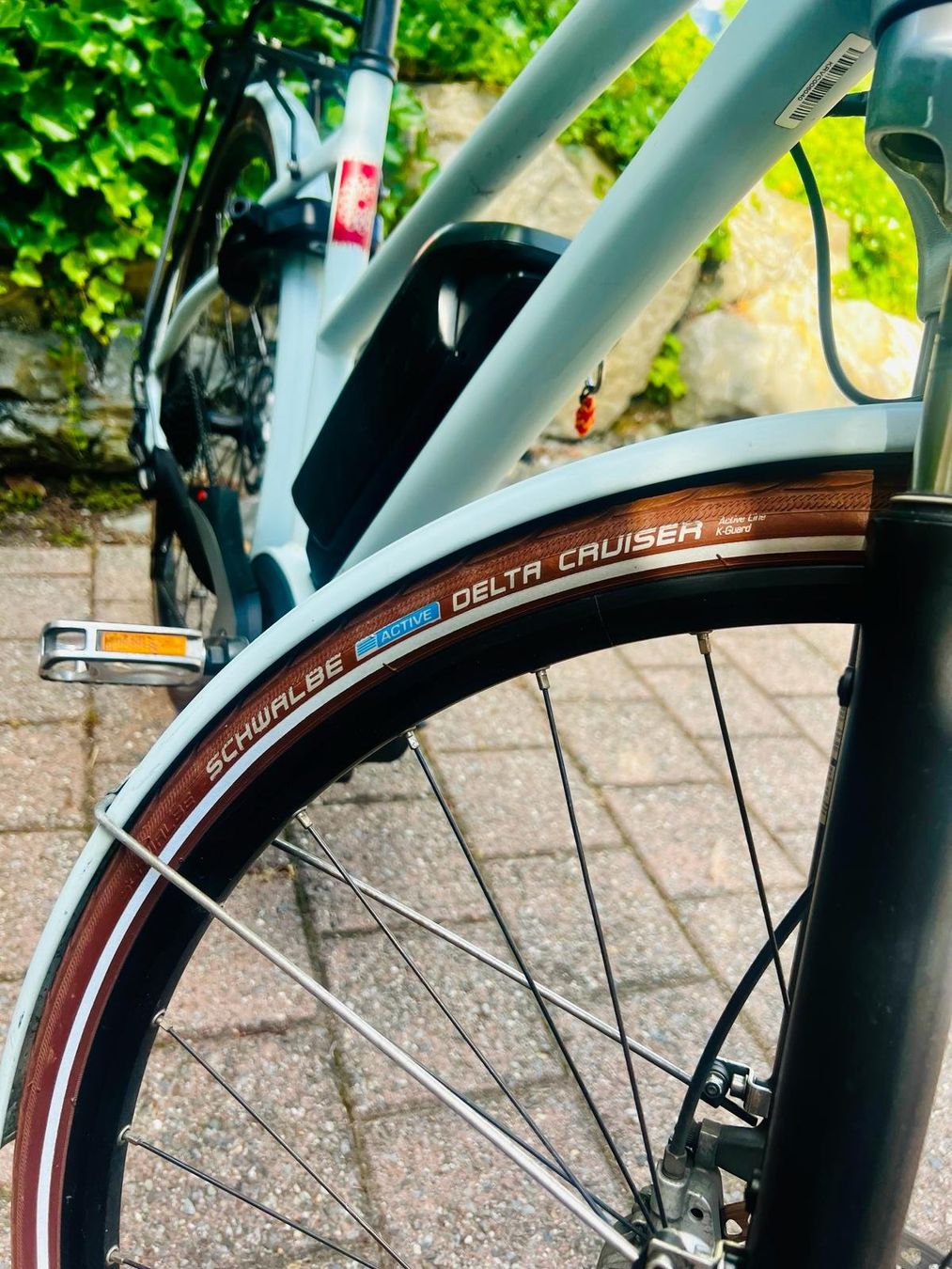 Ibex Biciclette: Ebike Ibex eAvantgarde – Usato da Hergiswil NW venduto da Tinu35 4