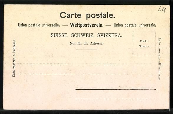 Cartoline postali: Weggis, Hotel und Pension du Lac, Blick  – Usato da Berlin venduto da bartko-reher 1