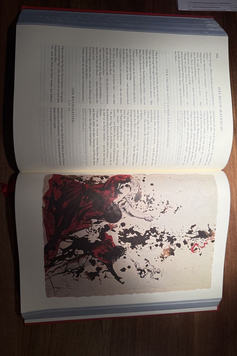 Libri: Bibel Salvador Dali – Usato da Romanshorn venduto da Senit 1