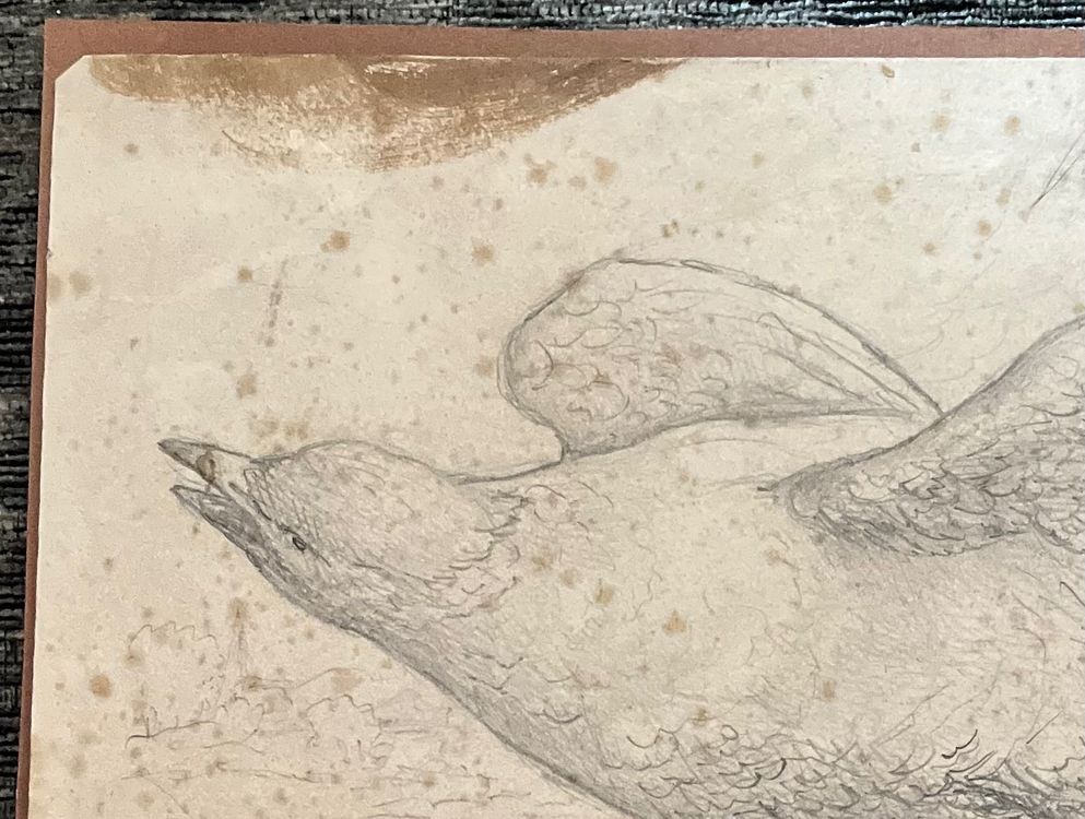 Michael Schnitzler (17821861) Zeichnung mit Vogel Kaufen auf Ricardo