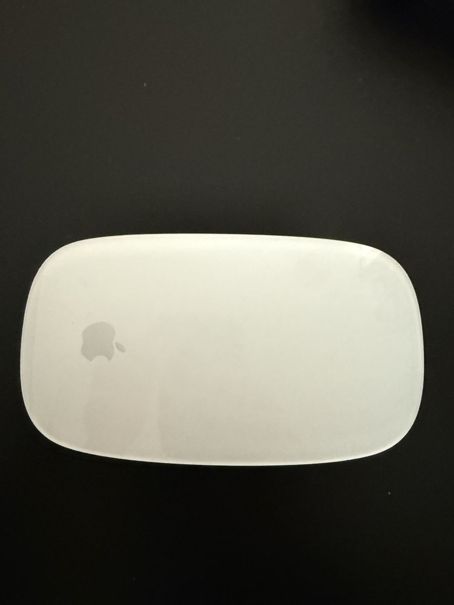 Apple Mouse: Apple Magic Mouse 2 (model A1657) – Usato da Kloten venduto da man_fy5k