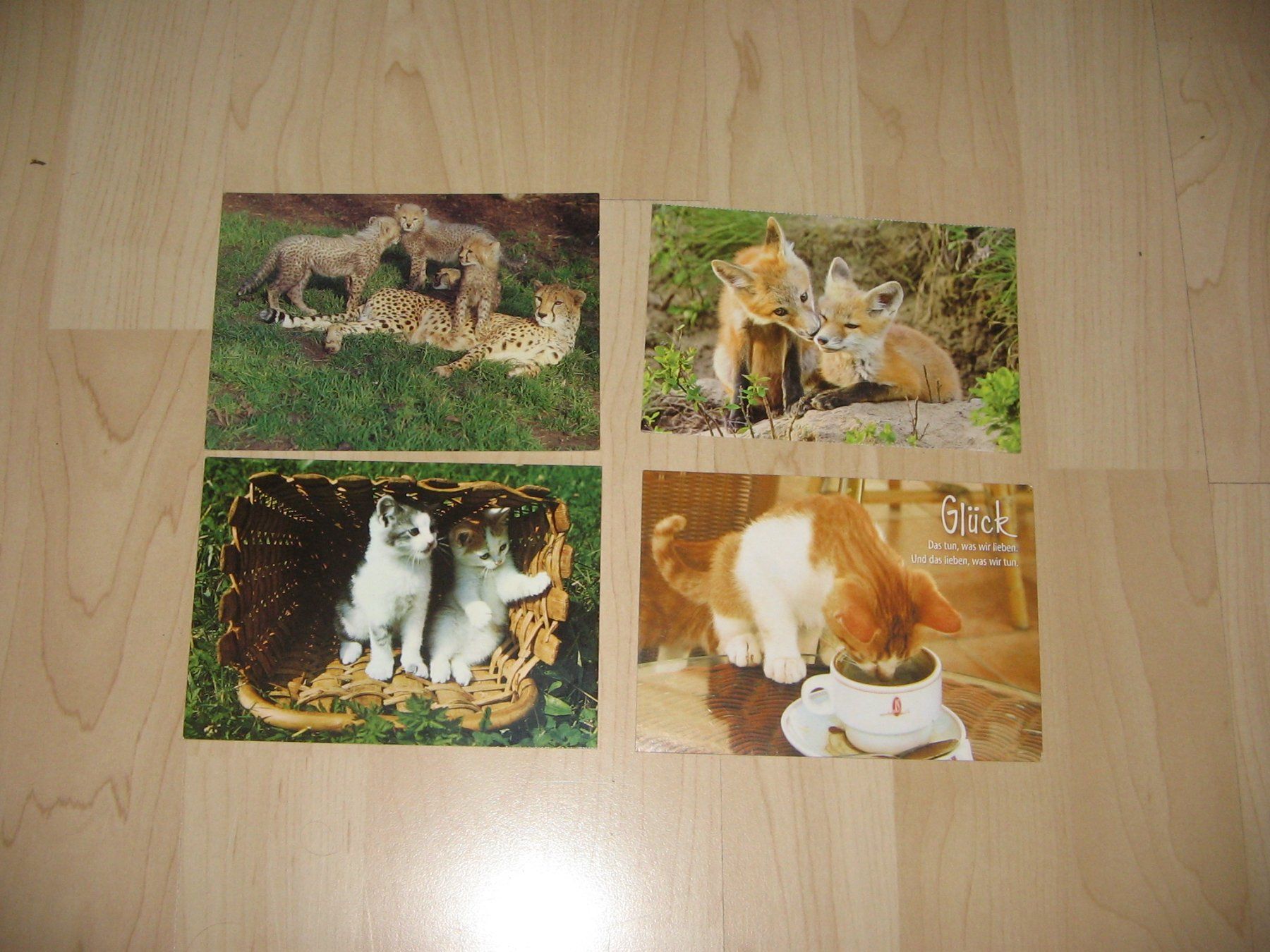 Cartoline postali: 4 Postkarten mit Tiermotiv – Nuovo (secondo la descrizione) da Flamatt venduto da Tattoo18