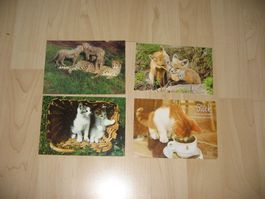 4 Postkarten mit Tiermotiv