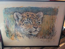 Bild Baby Jaguar signiert 1978 gerahmt