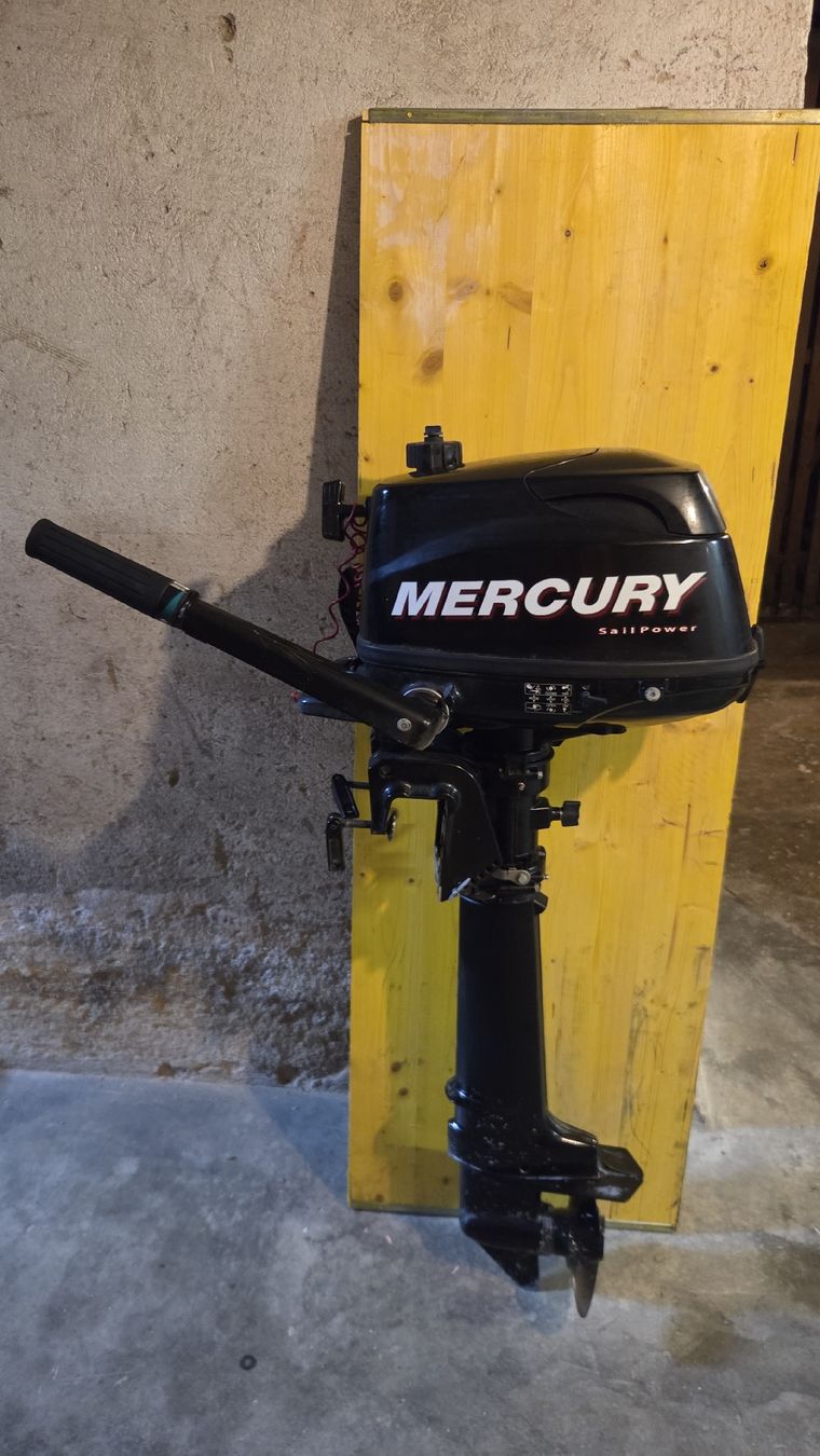 Mercury Motori: Mercury Aussenborder – Usato da Luzern venduto da mar_hb8w 1