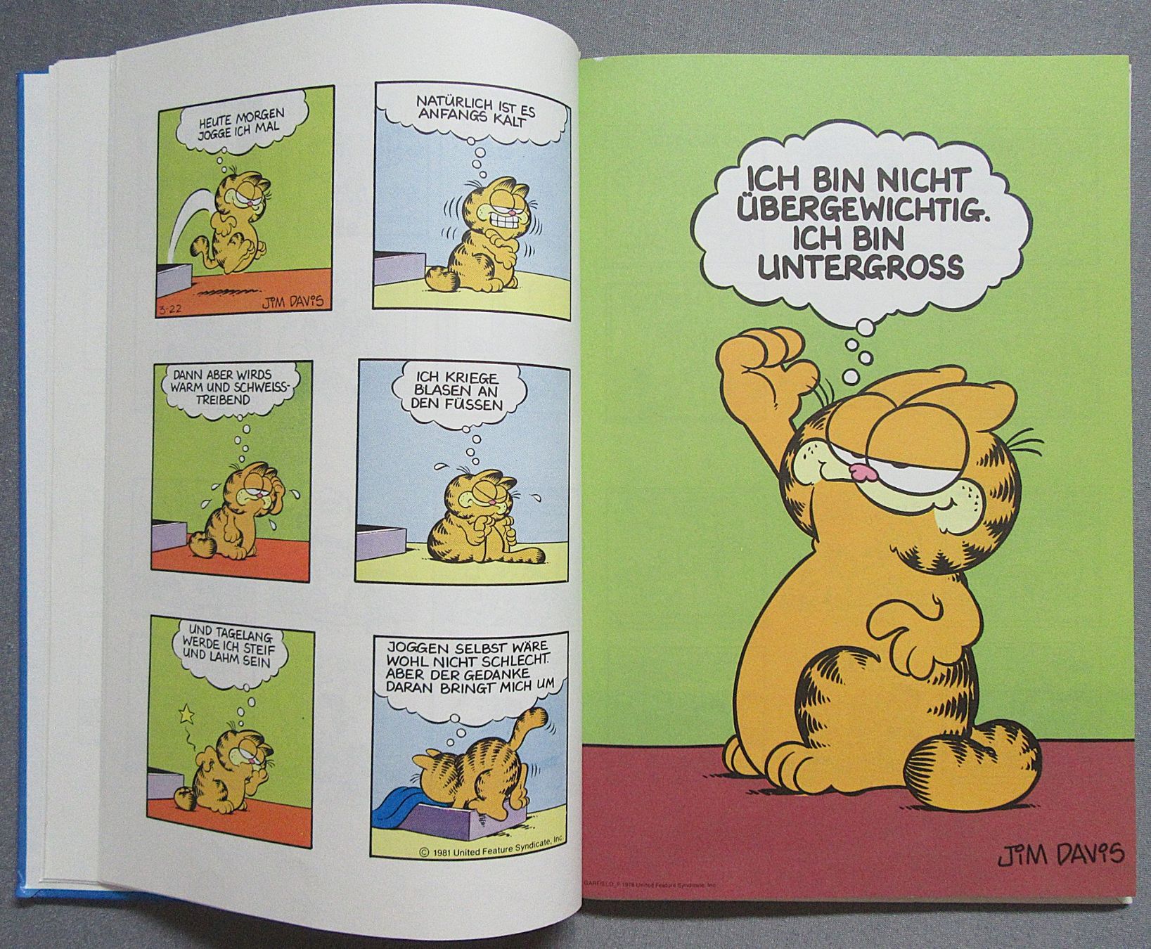 Fumetti: Die Garfield Revue - von Jim Davis – Usato da Auenstein venduto da Padabimbim 4