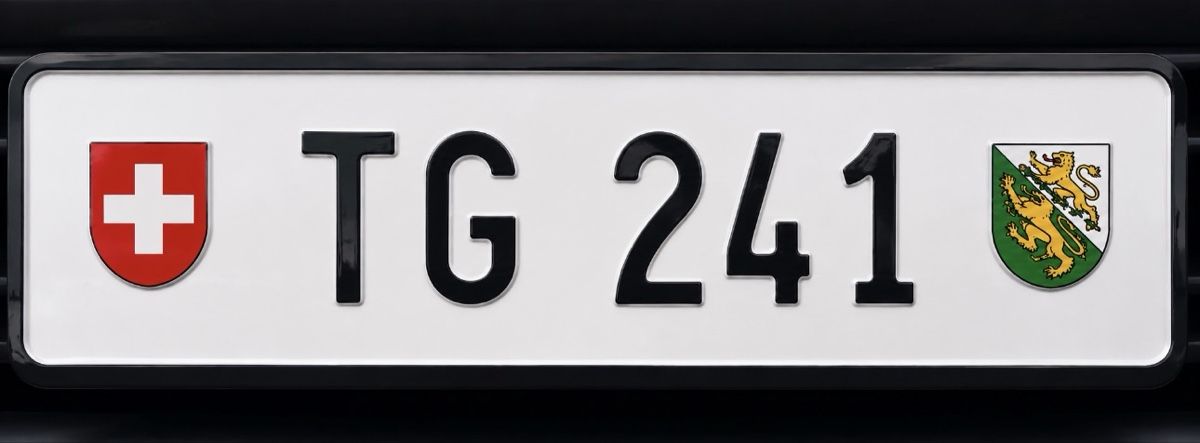 Insegne: TG Autokennzeichen – Usato da Amriswil venduto da A.fsa